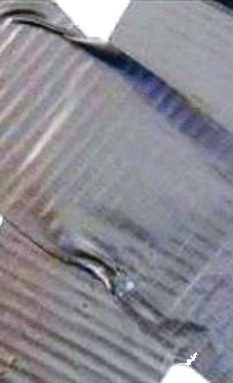 imageedit_10_7330361405